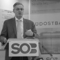 Präsentation Konzept Treno Gottardo